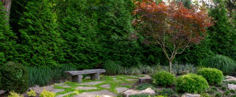 Outdoor zen garden design and landscaping