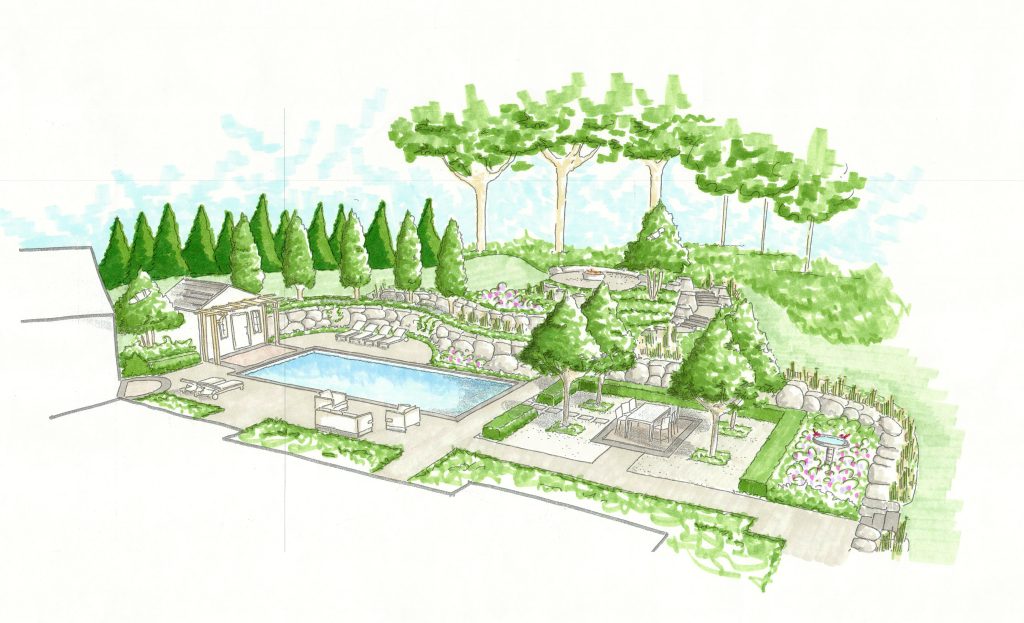 landscape design process of a concept sketch